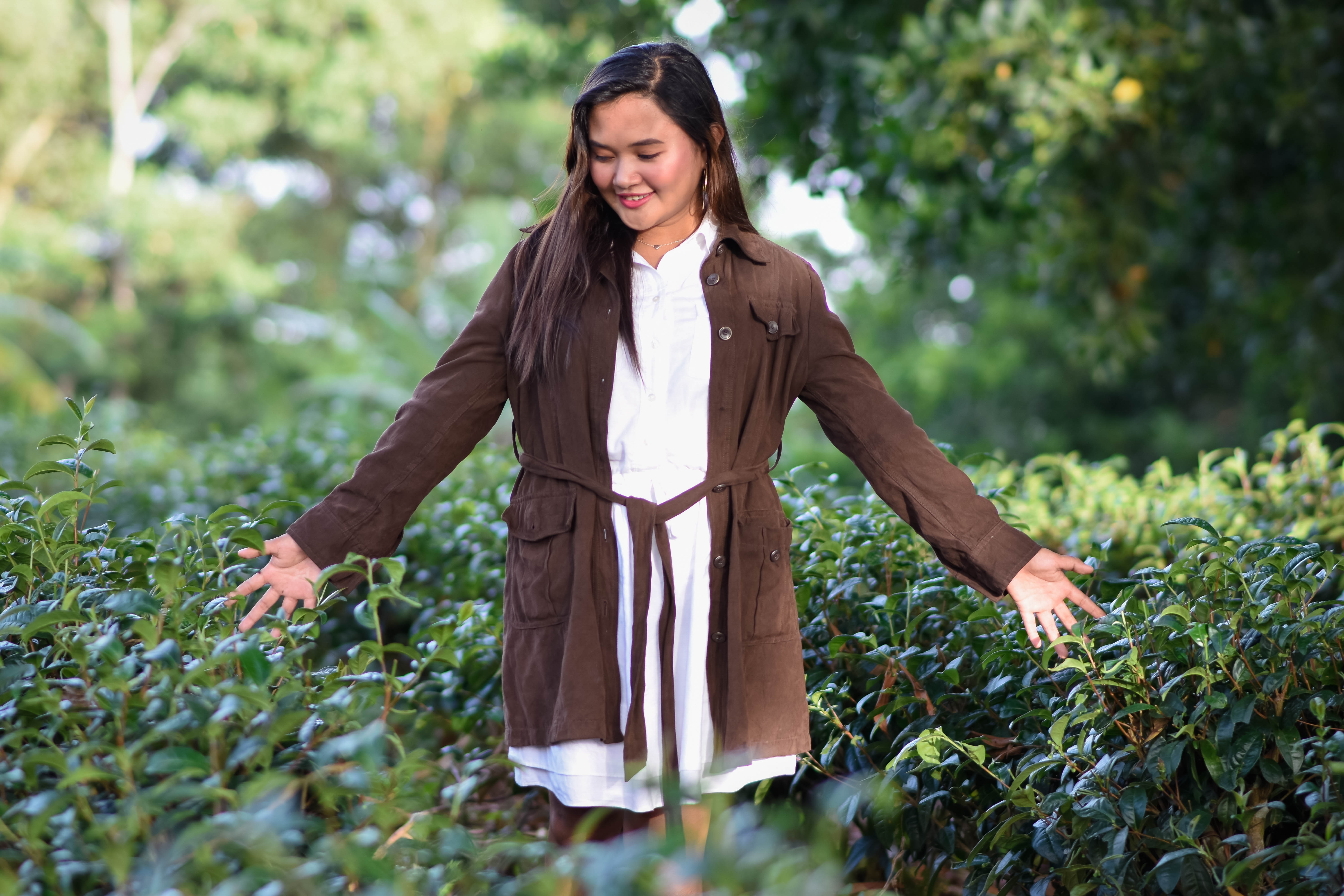 Oolong Tea Plantation and Processing Center
